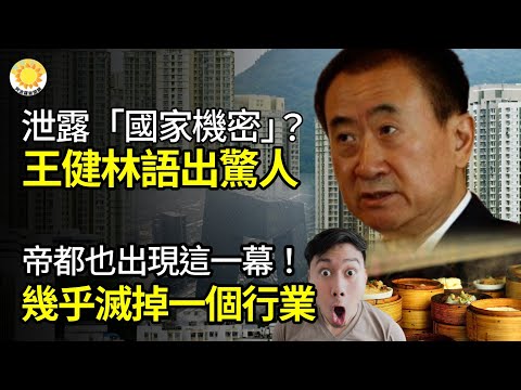 🔍泄露“国家机密”？王健林语出惊人💹人民币剧烈波动的背后：北京意外“变脸”💥帝都也出现这一幕！几乎灭掉一个行业🚧中共布局失败？对东南亚基建承诺逾500亿美元未到位【阿波罗网CG】