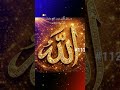 #786 #mashallahماشاءالله #Islamic video like share karo 🫶👀💫😇🫶💐