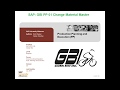SAP GBI PP 01 Change Material Master