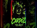 MEGA FETT #CardoZ #techno #technodance #rave #hardstyle #hardtechno #remix #dj #festival