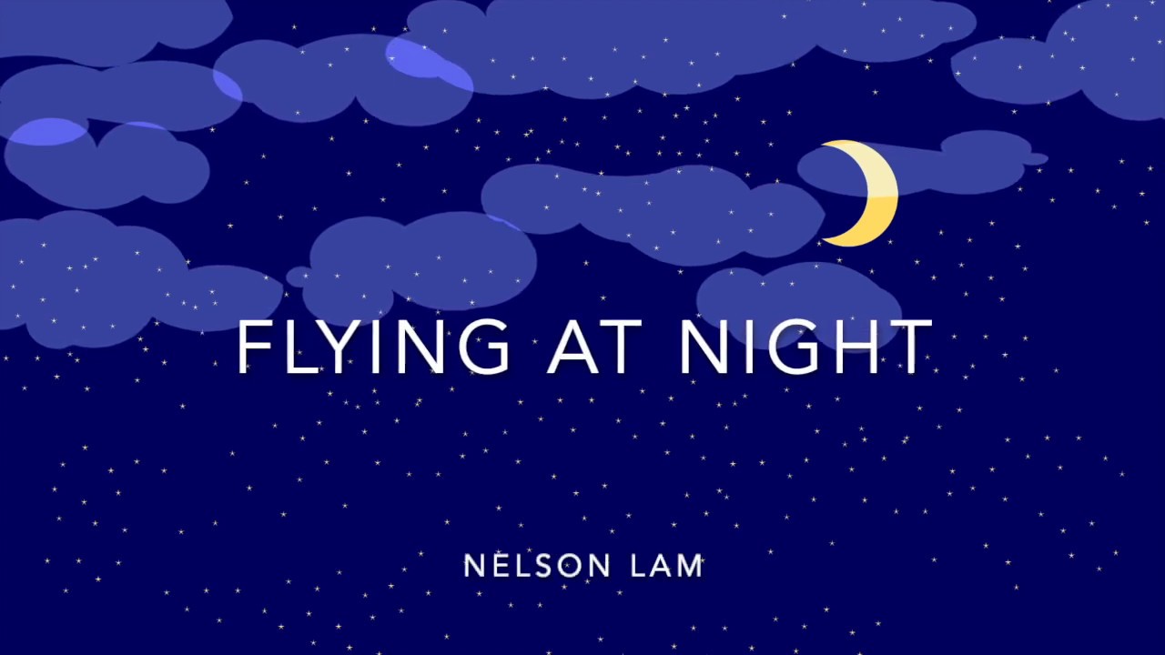 Flying at night - Nelson Lam