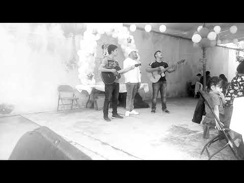 'GAVILAN O PALOMA'