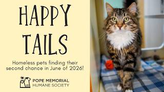 June 2026 Happy Tails