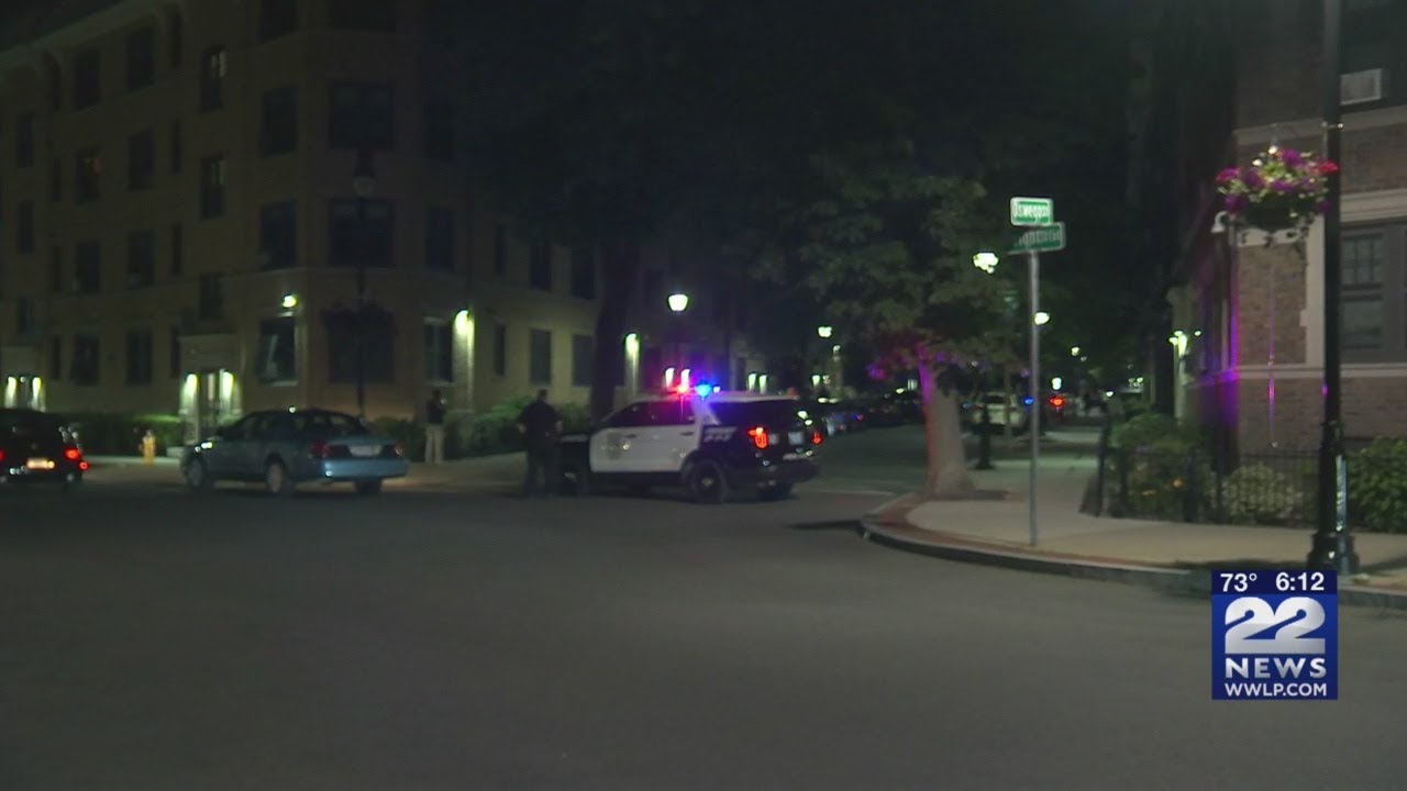 Springfield homicide