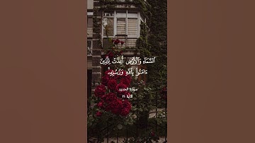 القارئ عبدالولي الأركاني #quran