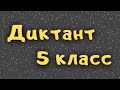 Диктант 5 класс с проверкой | Утро