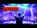 ИСТОРИЯ МУЗЫКИ : TENSNAKE &amp; Cara Melin - &quot;Antibodies&quot; 2020