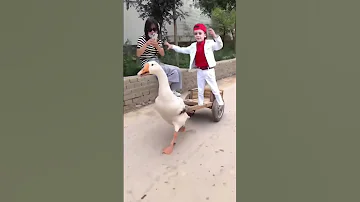 बच च आपक ल ए मज द र व ड य Shorts Shortvideo Cartoon Funny Comedy Animation 