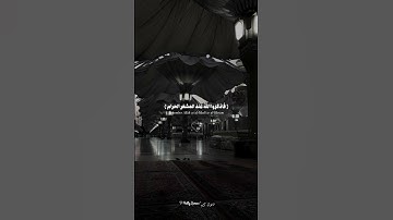 أذكر الله ⭐ | تلاوة عطرة #القرآن_الكريم #المصحف #تلاوة_خاشعة #راحة_نفسية