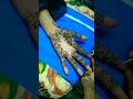 mehendi #viral#likeandsubscribe #newshorts#youtubeshorts