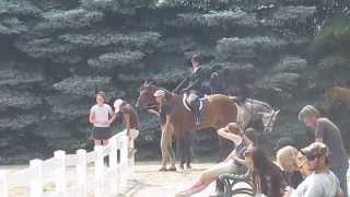 2'6-2'9 Hunter Prix Course