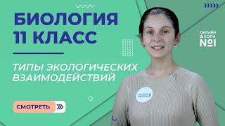 картинка: Основные типы экологических взаимодействий. Видеоурок 20. Биология 11 класс