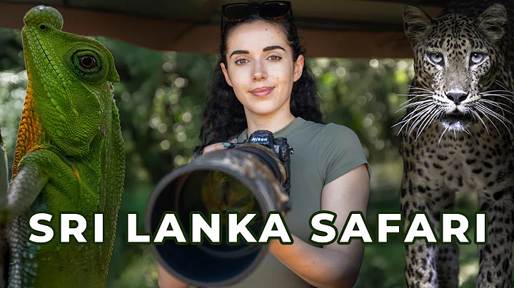 Sri Lanka Wildlife Safari Vlog: Wilpattu, Sinharaja, and Udawalawe thumbnail