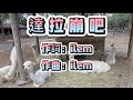 周深 達拉崩吧 有人聲歌詞版 周深 達拉崩吧 有人聲歌詞版