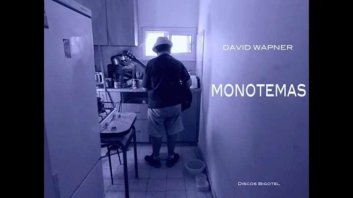 David Wapner   Monoimperfecto