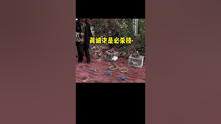 或許真誠才是必殺技吧！#套圈盤老闆 #左手圈王 #真誠才是必殺技 #感動了億萬網友 - 天天要聞