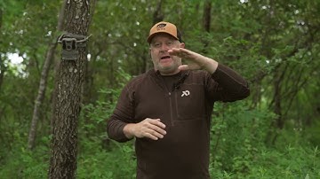 REVEAL Cell Camera: Setup Tips