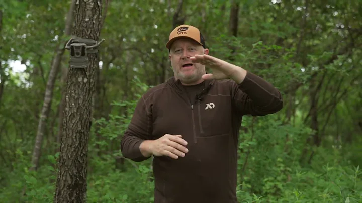 REVEAL Cell Camera: Setup Tips