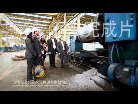 Professional Crane Supplier in China-Dongqi Crane