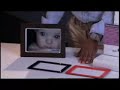 Philips Digital PhotoFrame Explained