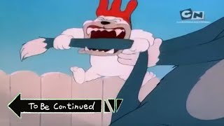 Tom Si Jerry To Be Continued