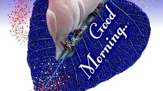 good Morning//good Morning wishes ||good Morning Videos Status.plsDoSubscribe @smilingthulasi3686