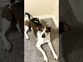 Doobie will run in our hearts forever