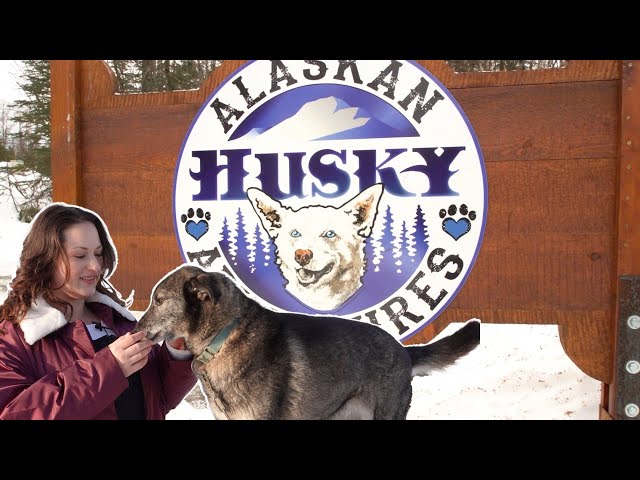 Behind The Sled: Alaskan Husky Adventures Premieres April 6th!
