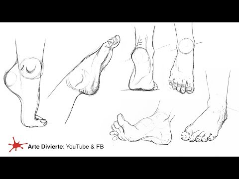 Video: Cómo Dibujar Patas