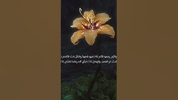 سورة الرحمن بصوت #عبدالولي_الاركاني #القرآن_الكريم