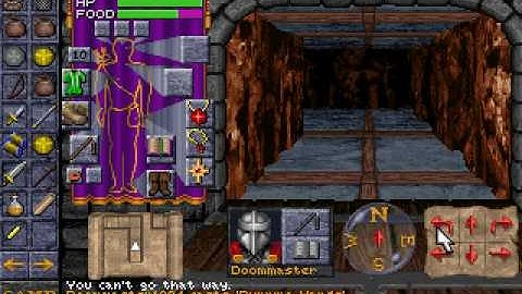 Dungeon Hack (PC) Level 5