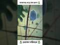 আমাদের দেহে পরিবহন সার্ভিস🙆♂️ whatsupbd.com #shorts #viralvideo #viral @YTFactsOne