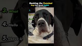 Ranking The Funniest Dog Speak English