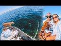Squid fishing  incredible beach camping  eyre peninsula south australia  s1e9