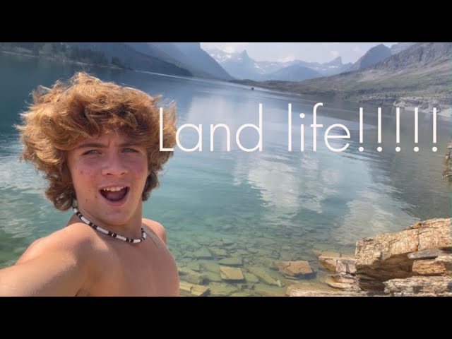 Should I move back to land??!!