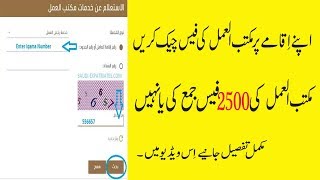 How To Check your Maktab Ammal LevyPayment paid or Not paid Urdu / Hindi