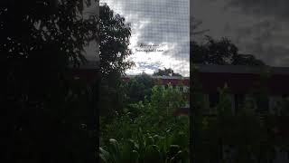 #magicalmorning #nature #naturelovers #mbbslife #gsvm #girlslife #girlinthecity #hostellife #medico