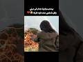 بيتحبسوا وراء جدار غير مرئي وكل شخص عنده قوه خارقه Film Movie 