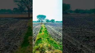 Pyar Ka Bandhan❤️ | Road Trip Feel | village road trip | Love Vibes #shorts