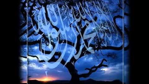 الشيخ يوسف ابكر - تلاوه رائعه جدا جدا