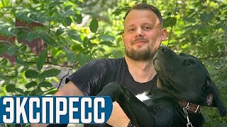 Нидерланды - Грузия / Австрия - Словакия / Норвегия - Греция / Прогноз Экспресс Футбол