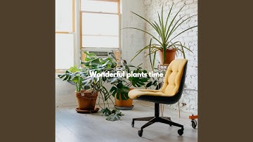 Subdued Ambiance for Brave Keynotes