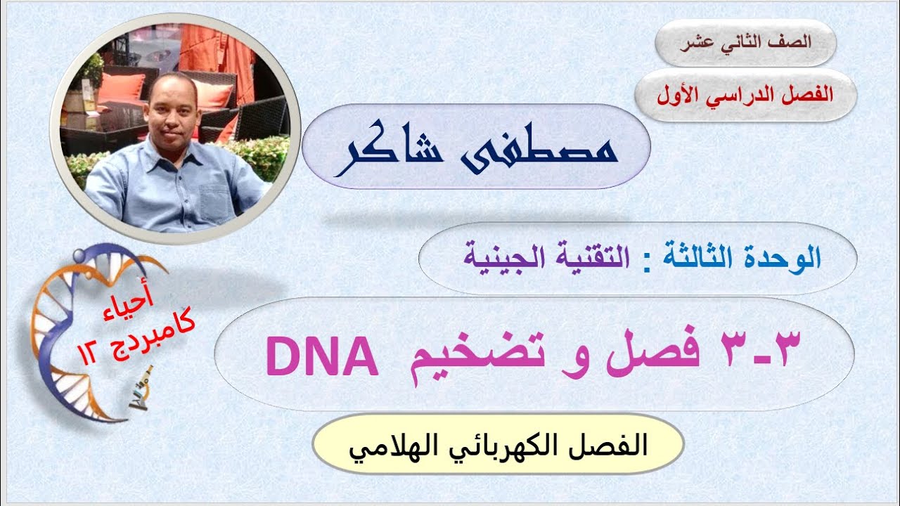 فصل و تضخيم DNA (الجزء الثاني) (الفصل الكهربائي الهلامي) أحياء كامبردج 12 الفصل الدراسي الأول