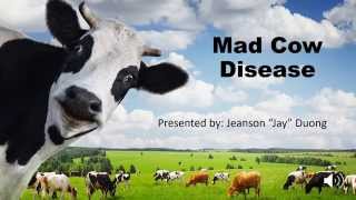 Mad Cow Disease