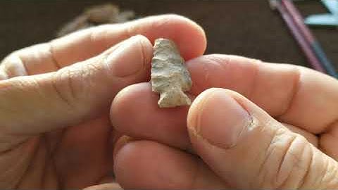 043 - Close-ups of True Arrowheads (Bird Points) 1/2