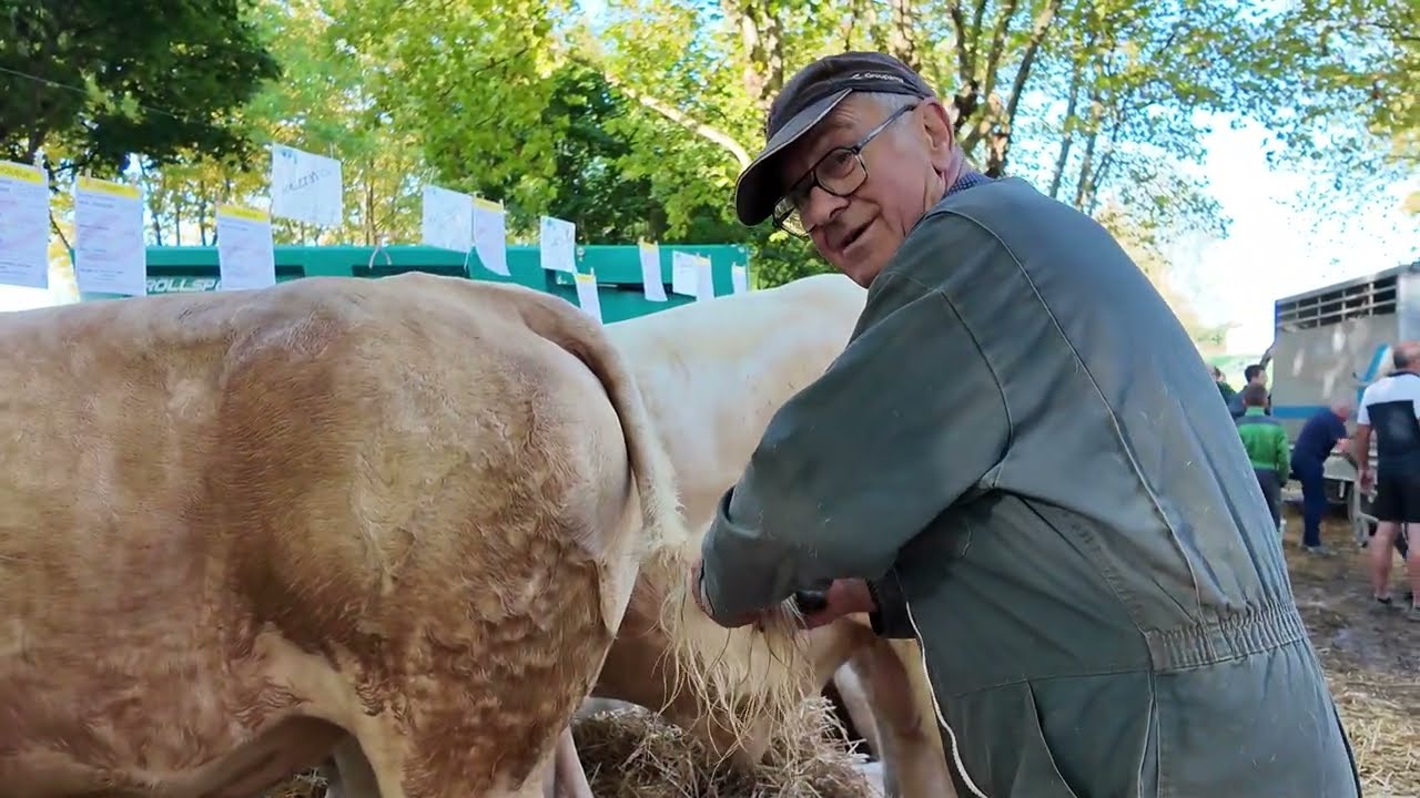 FOIRE DE DIGOIN CONCOURS AGRICOLE 2025