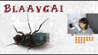 ROKIT BAY - BLAAVGAI (REACTION VIDEO) 🔥🔥🔥🔥