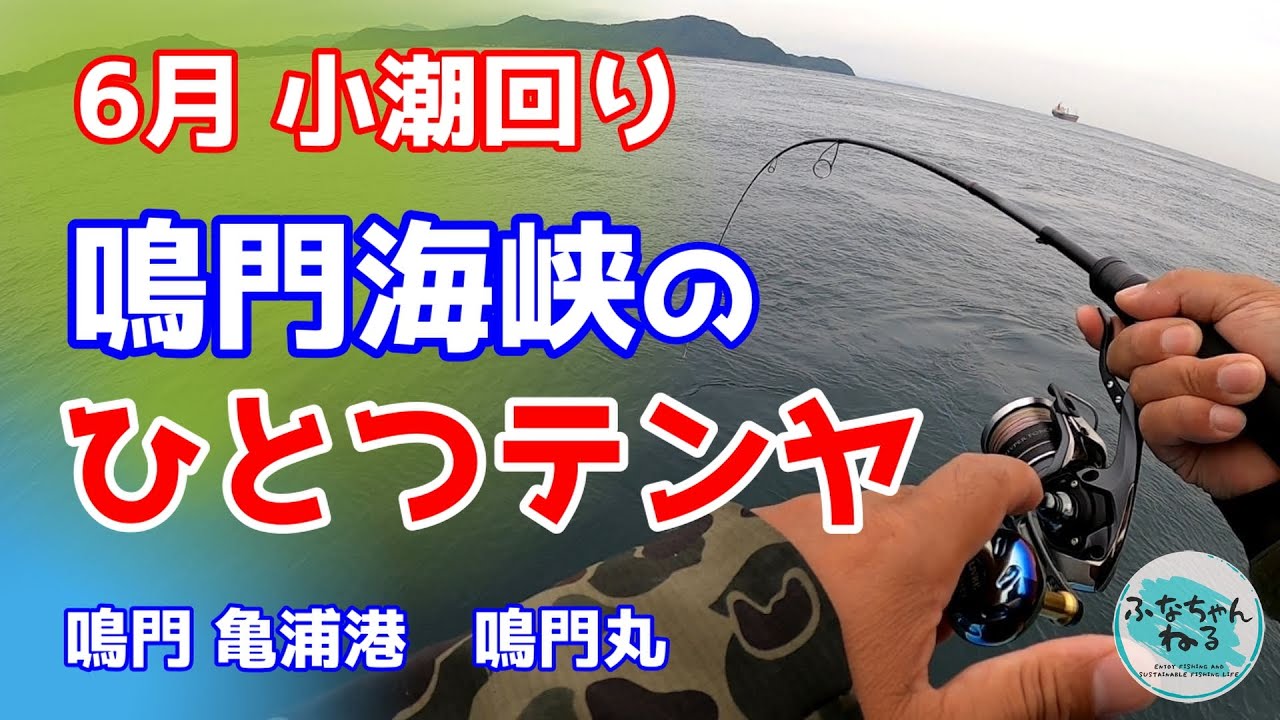 【ひとつテンヤ】ディープひとつテンヤで攻める鳴門のマダイ