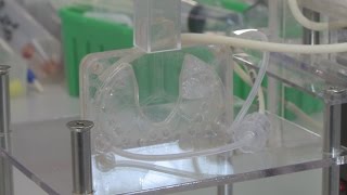 New Mexico scientists develop tiny, artificial lung