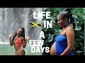 A WEEKLY JAMAICA VLOG IN COUNTRY & KINGSTON!(Waterfalls,Girls Night,Photoshoot + more)|Annesha Adams